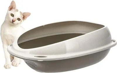 Produktbild von DigiRigi® Katzenklo ohne Deckel mit abnehmbarem Schutzrand – oval, hygienisch, Grau, hochwertiger Kunststoff, 57×40×19 cm