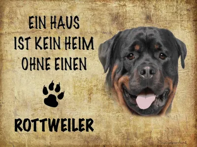 Produktbild von vianmo Holzschild 30x40 cm Rottweiler Hund ohne kein Heim