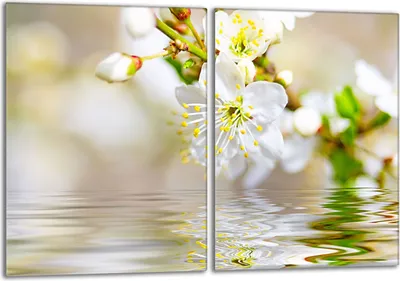 Obrázok produktu pre Súprava krycích dosiek na sporák 2x40x52 cm sklokeramický kryt varnej dosky sklenený splashback, slivková béžová