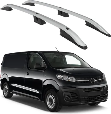 Immagine prodotto di TETTO TURTLE ROLLER CROWN OPEL VIVARO Mk3 2019 2020 2021 2022 2023 2024 (LWB) , Argento