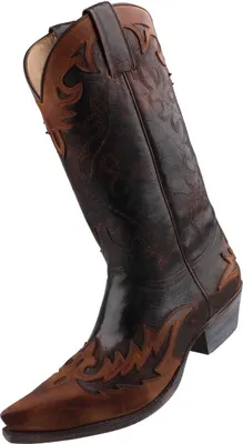 Produktbild von Sendra Cowboystiefel 9669 Braun