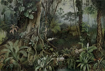 Produktbild von Tadessi Fototapete | Wald | 4.00 m x 2.70 m | Grün | Weiß | Wandbild | Digitaldruck