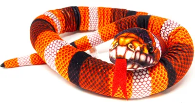 A plush toy snake coiled on a white background.