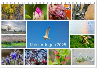 Produktbild von Naturcollagen 2025 (Tischkalender 2025 DIN A5 quer), CALVENDO Monatskalender