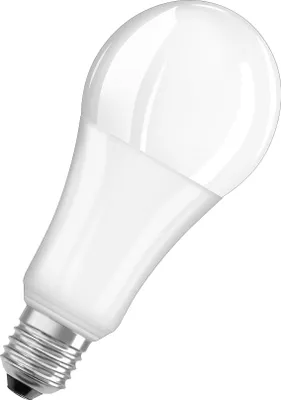 A white LED light bulb with a silver screw base is shown against a white background.
