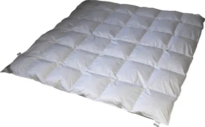Produktbild von Betten Hofmann Sibiria exclusiv Daunendecke Daunenbett 6x7 240x220 sibirische Wildgans