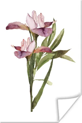 Produktbild von MuchoWow® Poster Blumen - Aquarell - Frühling - Ostern 60x90 cm - Wanddekoration