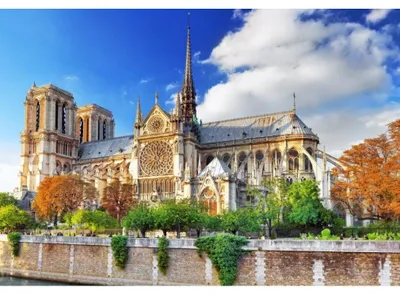 Immagine prodotto di BLUEBIRD Puzzle Cattedrale di Notre-Dame 1000 pezzi