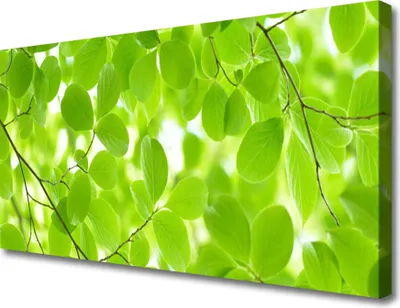 Produktbild von Tulup Leinwand-Bilder 100x50 Wandbild Canvas Kunstdruck Blätter Natur