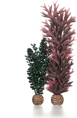 Obrázek produktu pro biOrb seapearls & kelp dark green