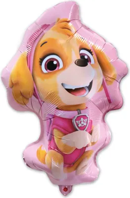 Image de Ballon en plastique Skye, Paw Patrol, 48 x 70 cm