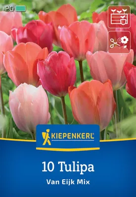 Artikelbild 2 von 'Darwin-Hybrid-Tulpe Van Eijk Mischung (10 Stück)'