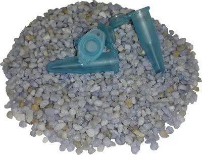 Produktbild von 200 Globulibehälter HOMÖOPATHIE 1,5 ml Blau Reaktionsgefäß