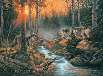 Immagine prodotto di SunsOut Puzzle Ombre della foresta - Puzzle da 1000 pezzi