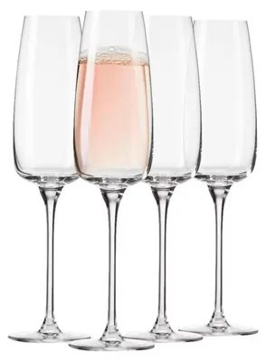 Champagneschalen Set von 4, 220 ml, Modern