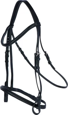 Produktbild von Aviemore Raised Cavesson Pferd Lederzaumzeug ER130 (Pony) (Schwarz)