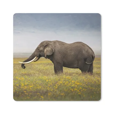 Produktbild von MuchoWow® Mauspad Mousepad Elefant - Tiere - Blumen - Gras - Natur 30x30 cm - Mousepads - Maus Mat - Pad - Mausunterlage - Gaming