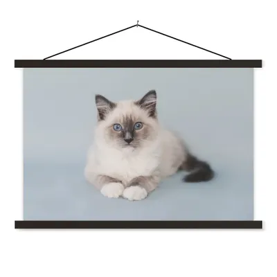 Produktbild von MuchoWow® Textilposter Katze - Ragdoll Katze - Blau - Mädchen - Kinder - Jungen - Kind 60x40 cm mit schwarzem Rahmen - Hölzernes
