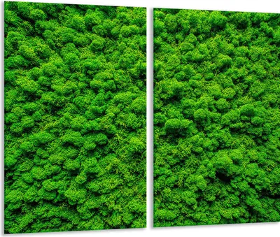 Produktbild von Herdabdeckplatten 2 teilig 30x52 Glaskeramikfeld Abdeckung Glas Grün