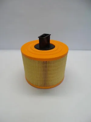 Imagen del producto de Filtro de aire original para BMW Serie 1 (E81, E87, E88, E82), Serie 3 (E90, E93), X1 (E84), con número de referencia 13717536006