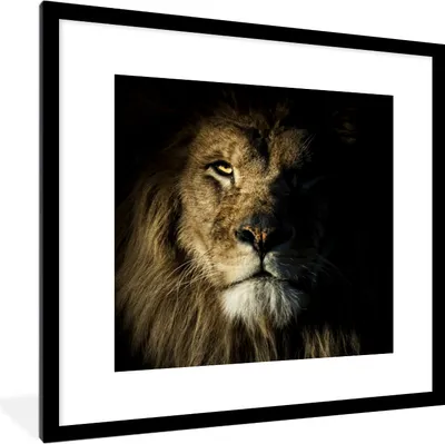 Produktbild von MuchoWow® MuchoWow® Gerahmtes Poster Löwe - Tier - Schwarz 40x40 cm - Poster mit zchwarzem Bilderrahmen - Poster - Plakat im Rahmen