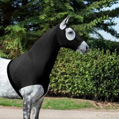 Image de LeMieux Stretch Hood - Taille S