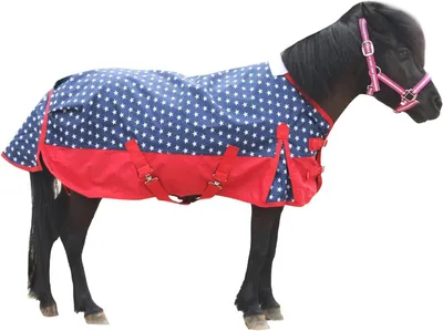 Productafbeelding van Paardendeken Pony Shetty - Regendeken Veulen - Paard Beschermen - Scheurvast Ademend - 1200D - Rood