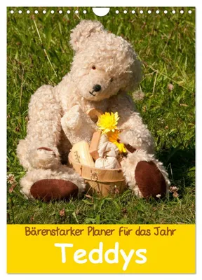 Produktbild von Bärenstarker Planer für das Jahr - Teddys (Wandkalender 2027 DIN A4 hoch), CALVENDO Monatskalender
