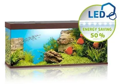 Productafbeelding van Juwel Rio 450 LED | 450L | 151 x 51 x 66CM Donkerhout