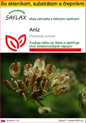 Obrázok produktu pre SAFLAX Kultivačný set - aníz - Pimpinella anisum - 200 Semená - S mini skleníkom, pestovateľským substrátom a 2 črepníkmi