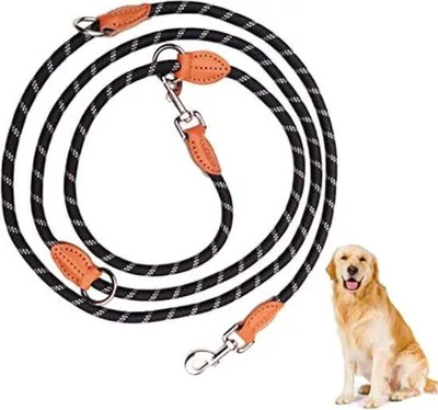 Immagine prodotto di Guinzaglio per cani colorato