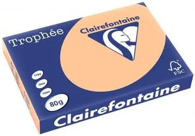 Obrázok produktu pre Clairefontaine 1996C Clairefontaine Multifunktionspapier Trophée, A3, aprikose