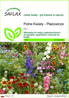 Zdjęcie produktu dla SAFLAX - Polne Kwiaty - Plażowicze - 1000 Nasiona - Mix