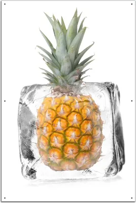 Produktbild von Wallario Outdoor-Poster für Garten oder Balkon, Motiv Ananas in Eiswürfel - Eiskaltes Obst, in ca. 61 x 91,50 cm