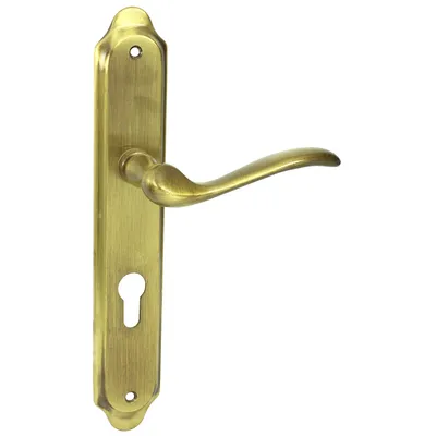 A brass door handle with a keyhole plate, isolated on a white background.