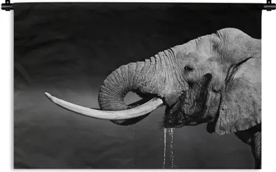 Produktbild von MuchoWow® Wandteppich Wandbehang Elefant - Wasser - Schwarz - Weiß 90x60 cm Tapisserie Dekoration Wandtuch - Wandskulpturen - Bildteppich