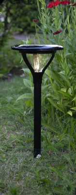 Produktbild von LED-Solar-Lampe, Kunststoff, 16,5x34 cm,