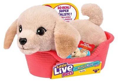 Produktbild von Moose Toys Little Live Pets My Really Real Puppy Mini's - Golden Retriever Buddy, Spielzeug-Hund, 5 Jahr(e), Interaktiv, Mit Ton, AAA