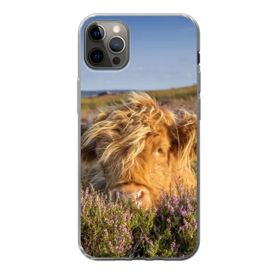 Produktbild von MuchoWow® Handyhülle Schutzhülle Hülle für iPhone 12 Pro Max Schottische Highlander - Heide - Gras - Tiere Silikon Softcase Handy Hülle - Hartschale