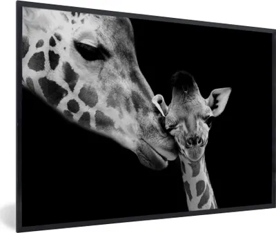 Produktbild von MuchoWow® Gerahmtes Poster Tiere - Schwarz - Weiß - Giraffe - Porträt 90x60 cm - Poster mit Schwarzem Bilderrahmen Wandposter Rahmen Foto Bilder - Fotorahmen - Foto-Plakat