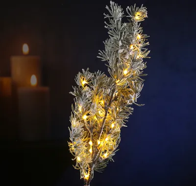 LED Tannenzweig mit Zapfen - Kunststoff - Schneeoptik - 30 warmweiße LED - H: 50cm - grün