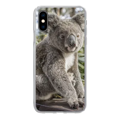 Produktbild von MuchoWow® Handyhülle Schutzhülle Hülle für iPhone X Koala - Regal - Pflanzen - Kinder - Jungen - Mädchen Silikon Softcase Handy Hülle - Handyhülle