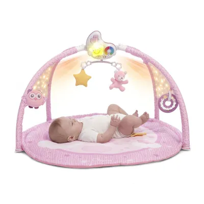 Produktbild von Chicco Farbspiel Gym Pink