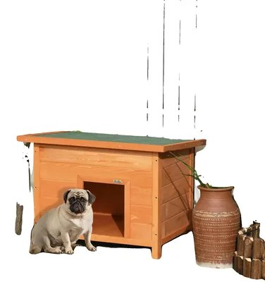 Immagine prodotto di Cuccia per cani, con tetto apribile, fondo rialzato, in legno