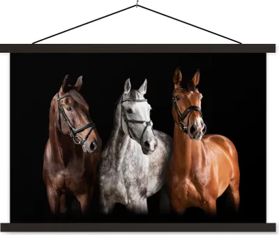 Produktbild von MuchoWow® Textilposter Pferde - Tiere - Schwarz 90x60 cm mit schwarzem Rahmen - Aufhängungssatz