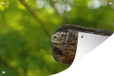 Produktbild von MuchoWow®