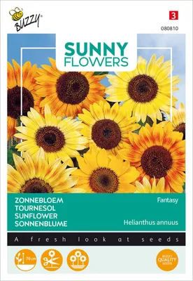 Image de Buzzy Sunny Flowers Tournesol Fantaisie Graines - Environ 1 gr | Buzzy_080810