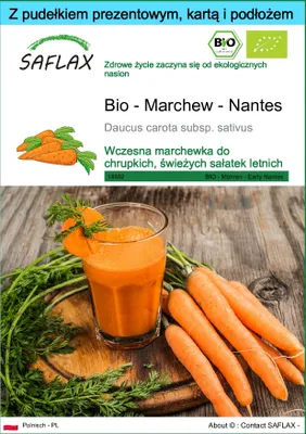 Zdjęcie produktu dla SAFLAX - Zestaw prezentowy - Bio - Marchew - Nantes - 1500 Nasiona - Z pudełkiem upominkowym, etykietą wysyłkową, kartą podarunkową i podłożem uprawowym - Daucus carota subsp. sativus