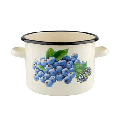 Obrázok produktu pre TOPF Smaltovaný hrniec na indukčné varenie 3,2 l Hrniec na polievku Blueberry PLESZEW
