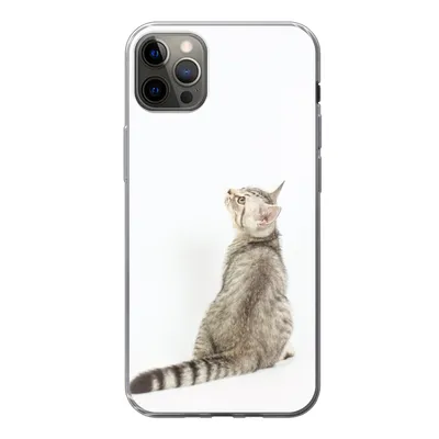 Produktbild von MuchoWow® Handyhülle Schutzhülle Hülle für iPhone 13 Pro Max Katze - Haustiere - Fell Silikon Softcase Handy Hülle - Mobiltelefon